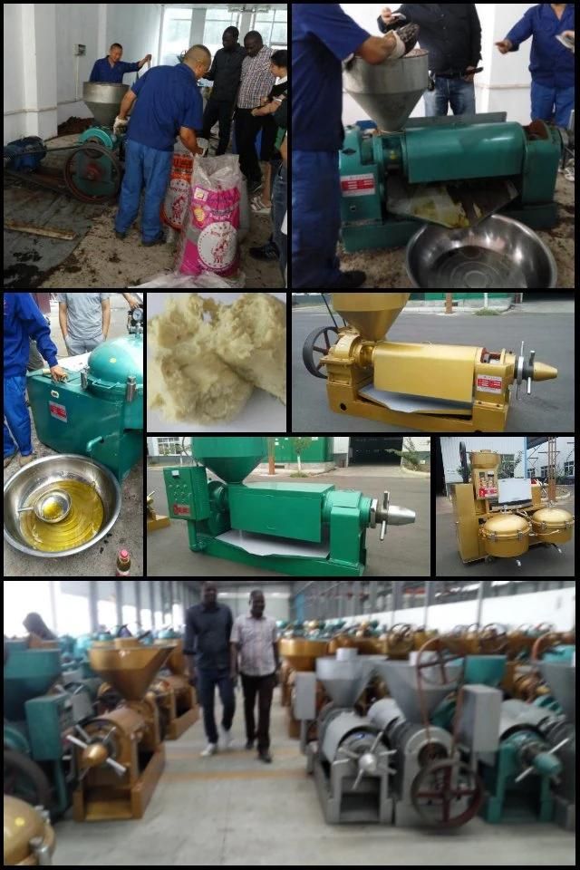 Guangxin Automatic Temperature Controlled Palm Oil Expeller