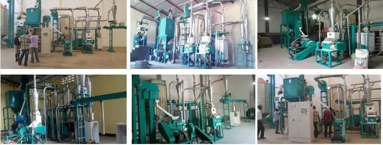 Tanzania Kenya Malawi Running 10t/24h Maize Mill Plant Flour Factory