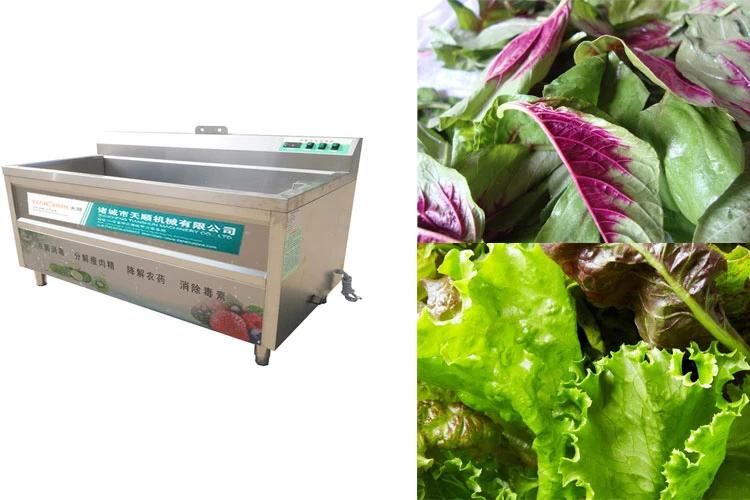 Vegetables Cleaning Machine Industrial Leafy Vegetable Bubble Batch Washer