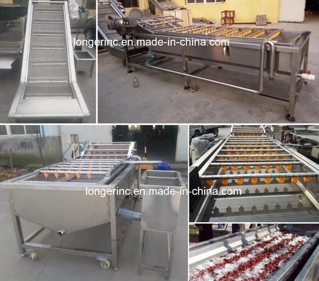 High Efficient Mushroom Washer Tomato Washing Machine