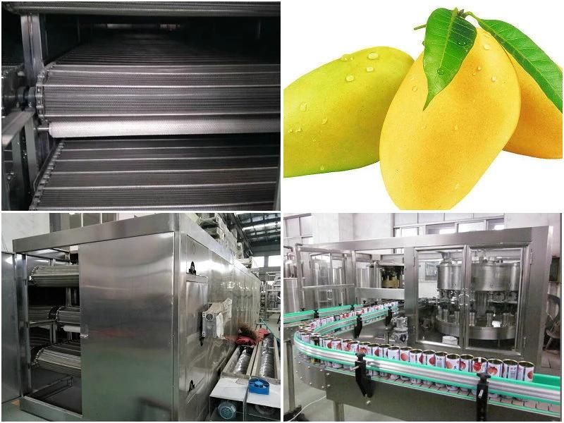 Mango Fruit Juice Processing Line & Fruit Juice Processing Plant