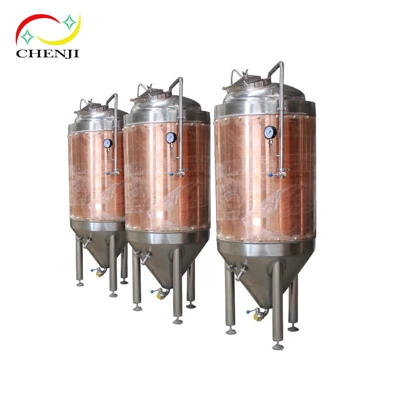 Cj-300 Pub Brew Equipment with 300L Beer Per Day