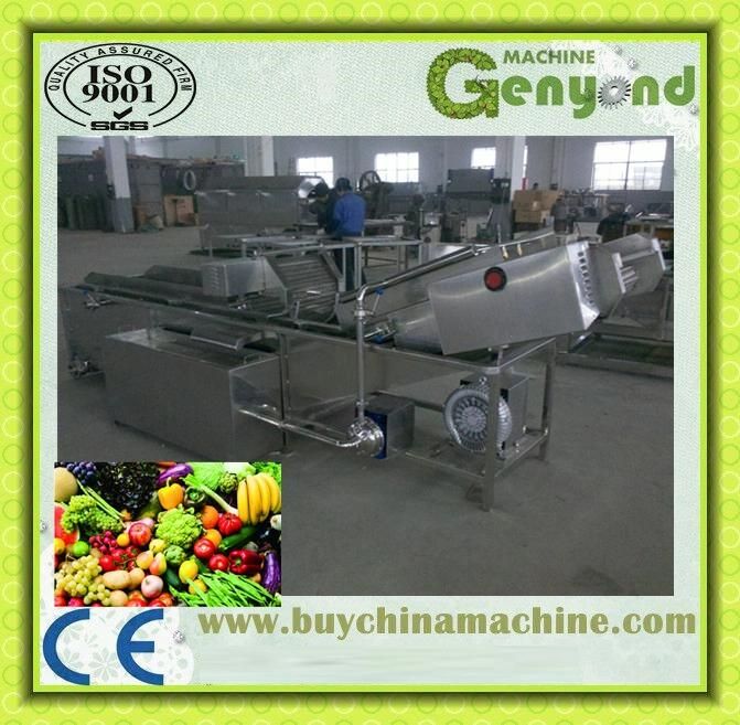 Clean Vegetables Fruit Processing Line in China