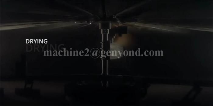 Complete Pure Apple Powder Production Line