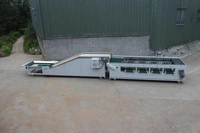 Stainless Steel Potato Grader Used to Vegetable and Potato Grading Machine Potato Sorter ...