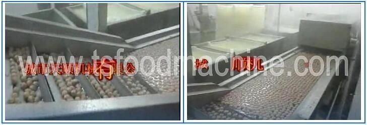 Automatic Continuous Cooking Machine and Blancher Machine for Banana and Plantain