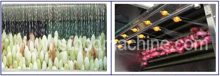 Continuous Discharge Spiral Onion Potato Ginger Peeler and Peeling Machine