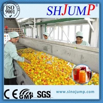 Apricot Puree and Apricot Concentrated Puree Processing Machine