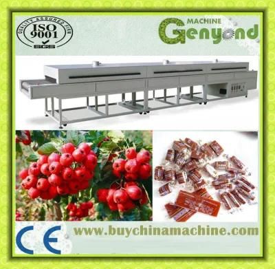 Fruit Leather/Fruit Bar Production Line