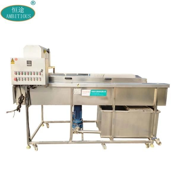 Industry Fruit Processing Line Fruit Washer Apple Washer