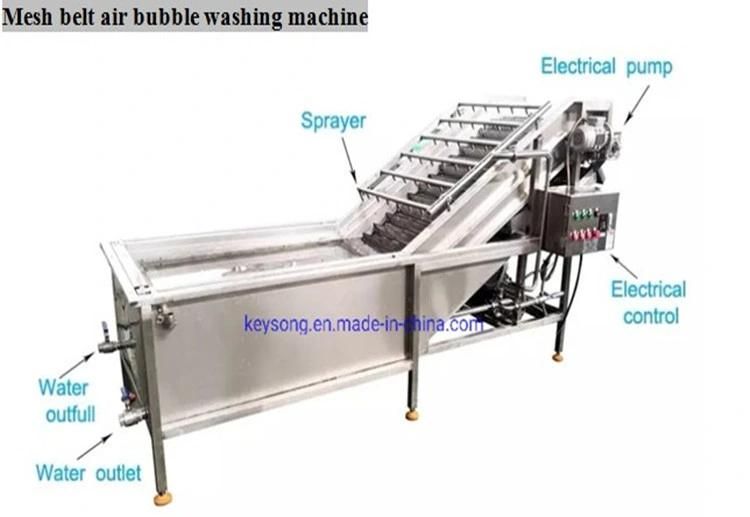 New Equipment for Fruit and Vegetable Washing Machine