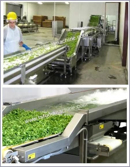 Vegetable Equipment and Vegetable Processing Machine