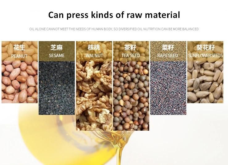 Vegetable Seeds Sunflower Peanut Oliver Oil Pressing Manual Machine Price