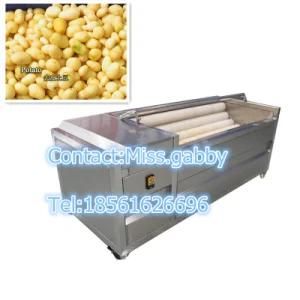 Industrial Potato Peeling Machine, Potato Cleaning Machine