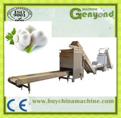 Top Quality Fried Garlic Chips Production Line