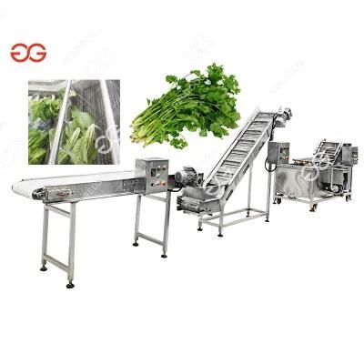 Gelgoog Bubble Mango Cleaning Salad Leaf Leaf Vegetable Washing Machine Vegetable Washer ...