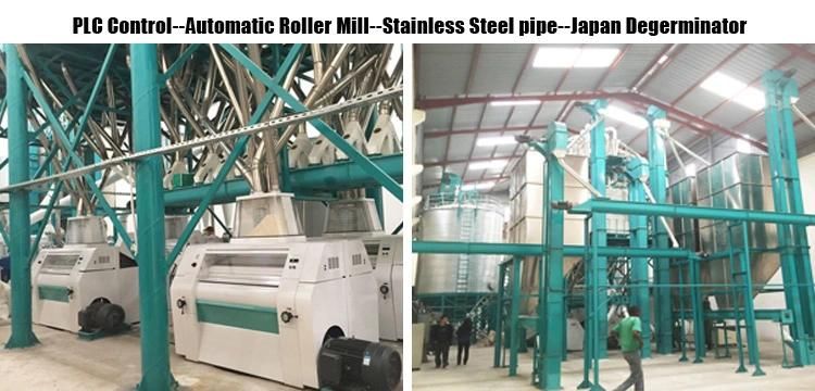 100t/24h Maize Flour Mill Milling Machine