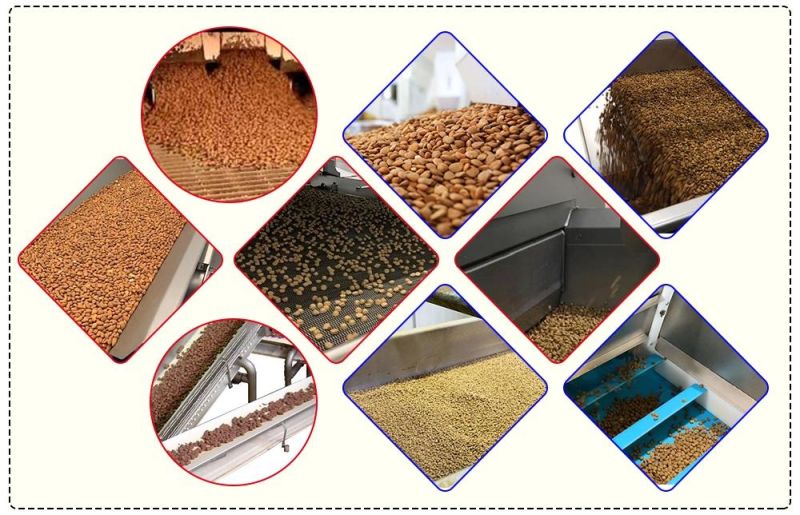 Best Quality Dog Food Extrusion Machine Plant for Sale