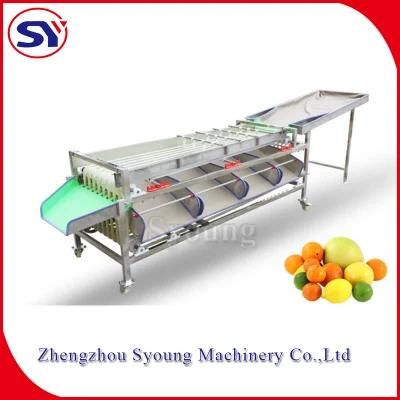 4 Grades Date Palm Size Grading Sorting Machine