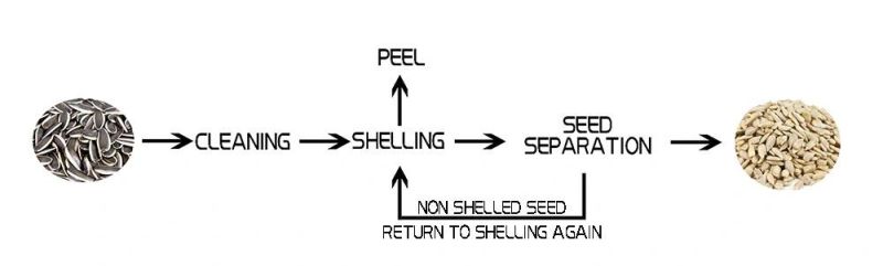 Sunflower Seed Shelling Hulling Line