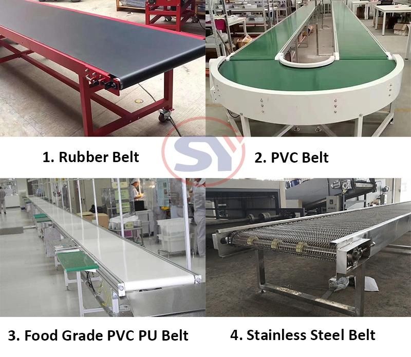 2020 Stainless Steel Flat Belt Conveyor for Bag/Pallet/Tray Loading