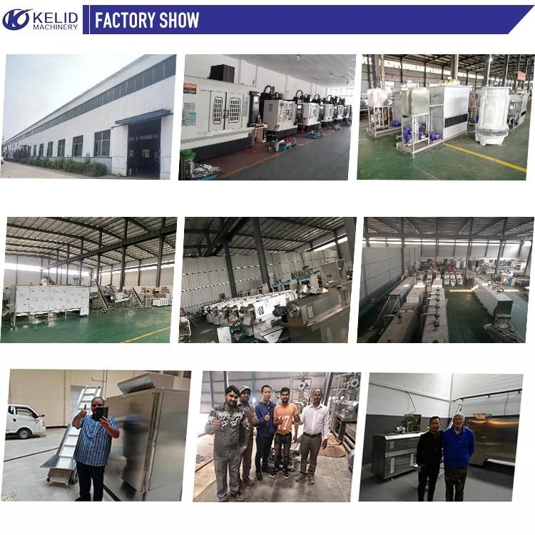 Japanese Panko  Bread  Crumb Production Processing Line