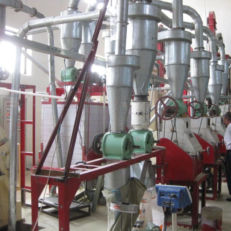 30t/24h Maize Flour Machine for Maize Meal