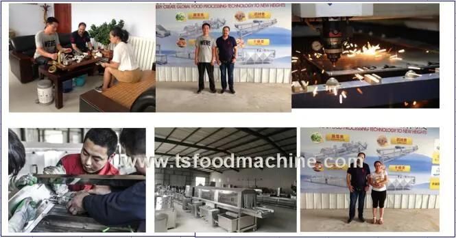 Industrial Automatic Crate Washer Crate Washing Machine