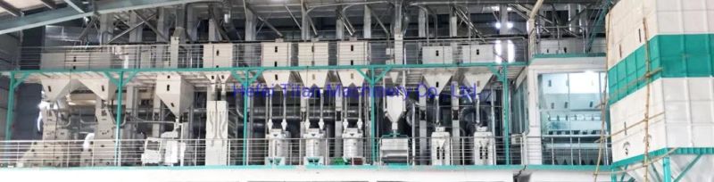 Automatic Mini Rice Mill Plant in Africa Parboiled Rice Mill Machine/Big Capacity Rice Mill Machine