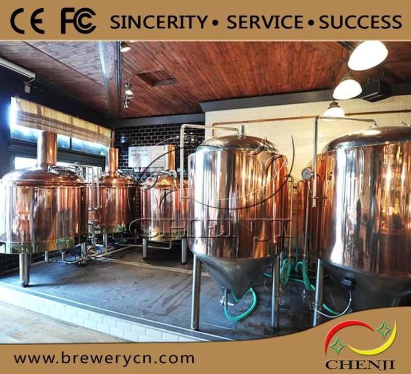 Cj-300 Pub Brew Equipment with 300L Beer Per Day