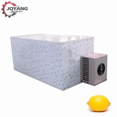 Hot Air Dryer Lemon Fruit Vegetable Drying Machine