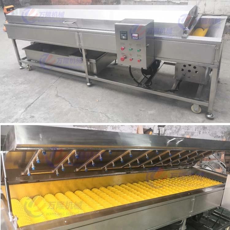 Cumquat Kumquat Washing and Drying Machines Processing Line