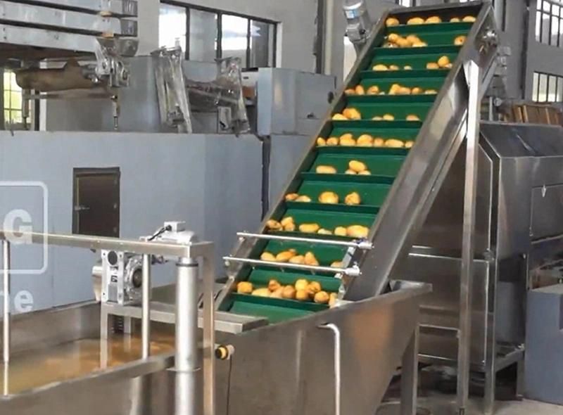 Automatic Frozen French Fries Production Line Potato Chips Fryer Making Frying Snack Food Machine