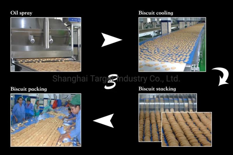 Automatic Hard Biscuit Production Line with Best Price