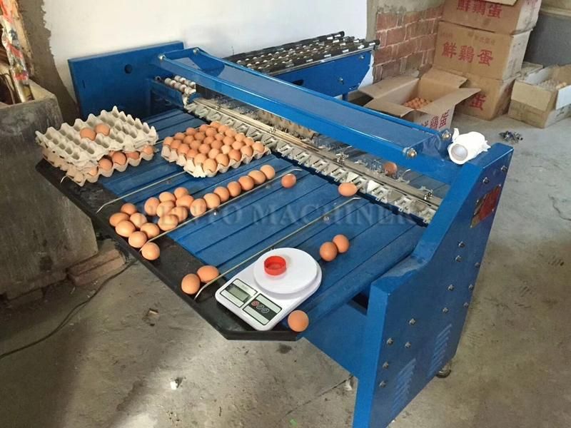 Good Performance Egg Production Line / Machine for Separate Egg Liquid / Egg Washer Candler Grader Machines