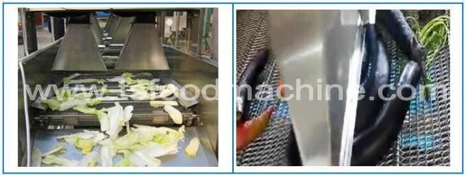 Food Equipment Conveyor Mesh Belt Coconut Chips Dryer and Drying Cooling Machine