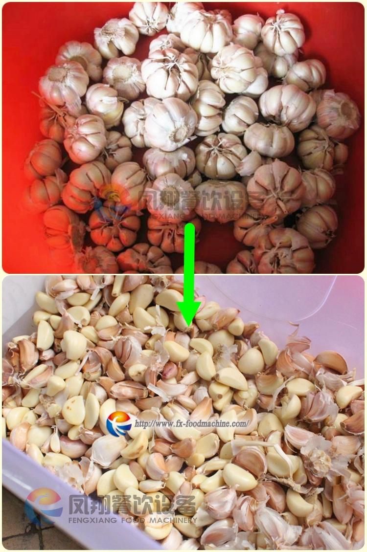 Industrial Automatic Electric Ce Certificated Garlic Bulb Clove Separator