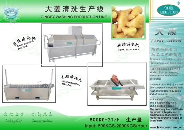 Ginger Cleaning Processing Plant Ginger Washing Machine