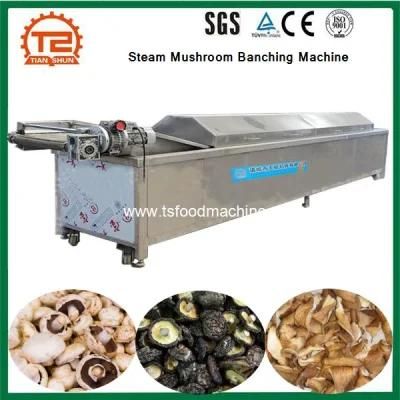 Mushroom Process Equipment Steam Blanching Machine Mushroom Banching Machine