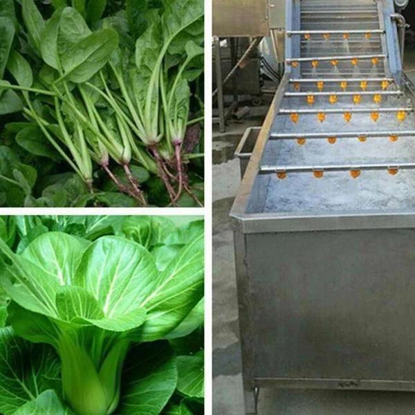 Automatic Industrial Leafy Vegetable Conveyor Washer Spinach Lettuce Washing Machine