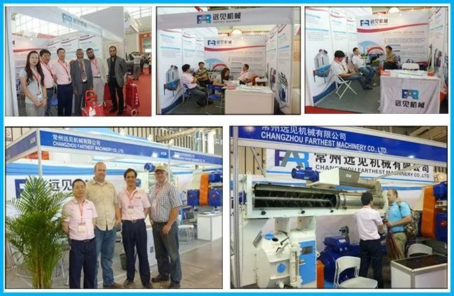 Automatic Dog Food/Animal Food Extruder Production Machine