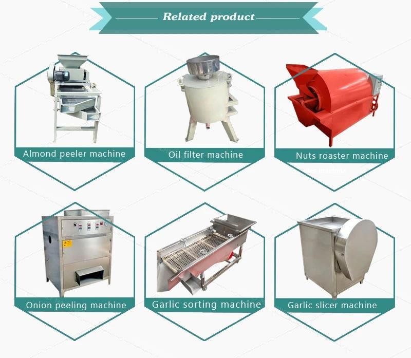 High Output Castor Bean Oil Expeller Machine / Moringa Seed Oil Extraction Machine