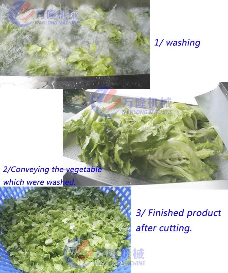 Ozone Air Bubble Salad Vegetable Washer Cleaner Fruit Washing Machine Cleaning Machine