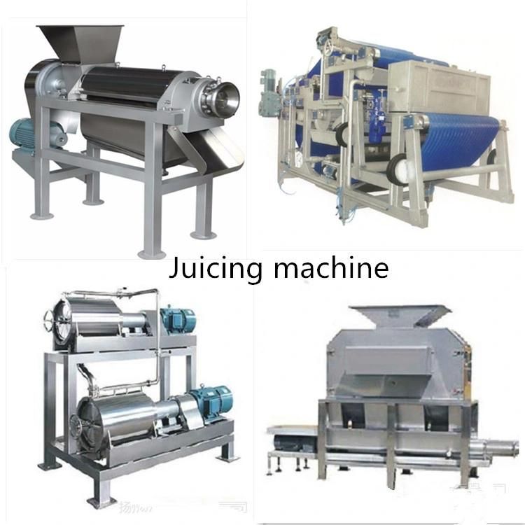 Full Automatic Mango Juice Making Machine