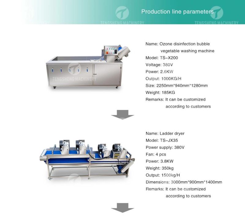 Citrus Apple Orange Passion Fruit Cleaning Air Drying Sorting Production Line Food Processing Equipment Machine