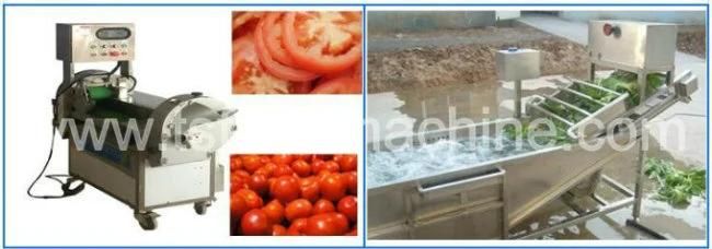 Tomato Processing Equipment Tomato Washing Blanching Machine