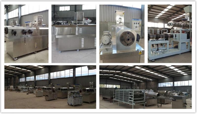 Vegetable Meat Making Machine Nuggets Production Line