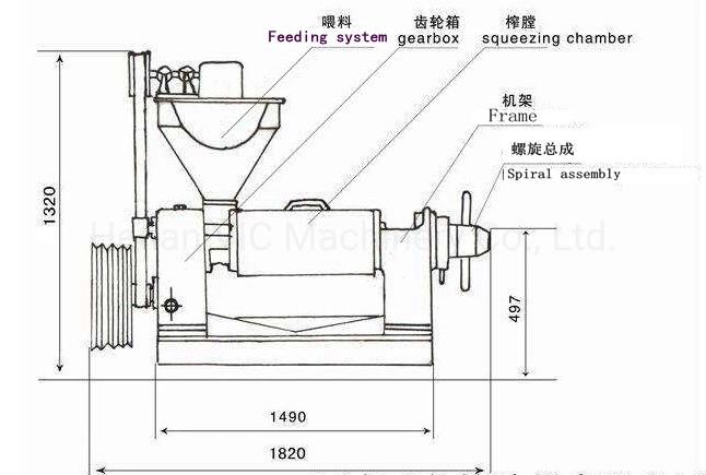 Electric driven screw cold oil expeller