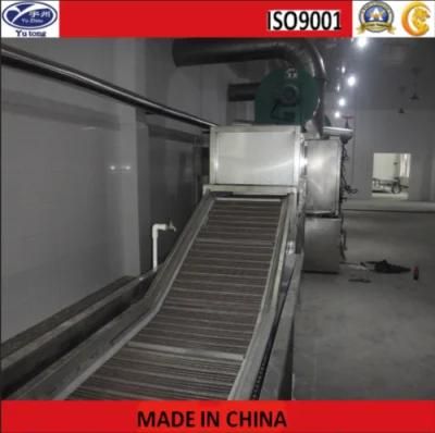 Conveyor Belt Dryer for Fruits and Vegetables