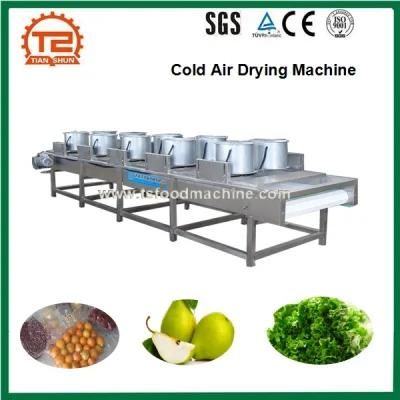 Fruit and Vegetable or Fish Cold Air Drying Machine